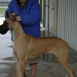 Meet your Posher, Beverly